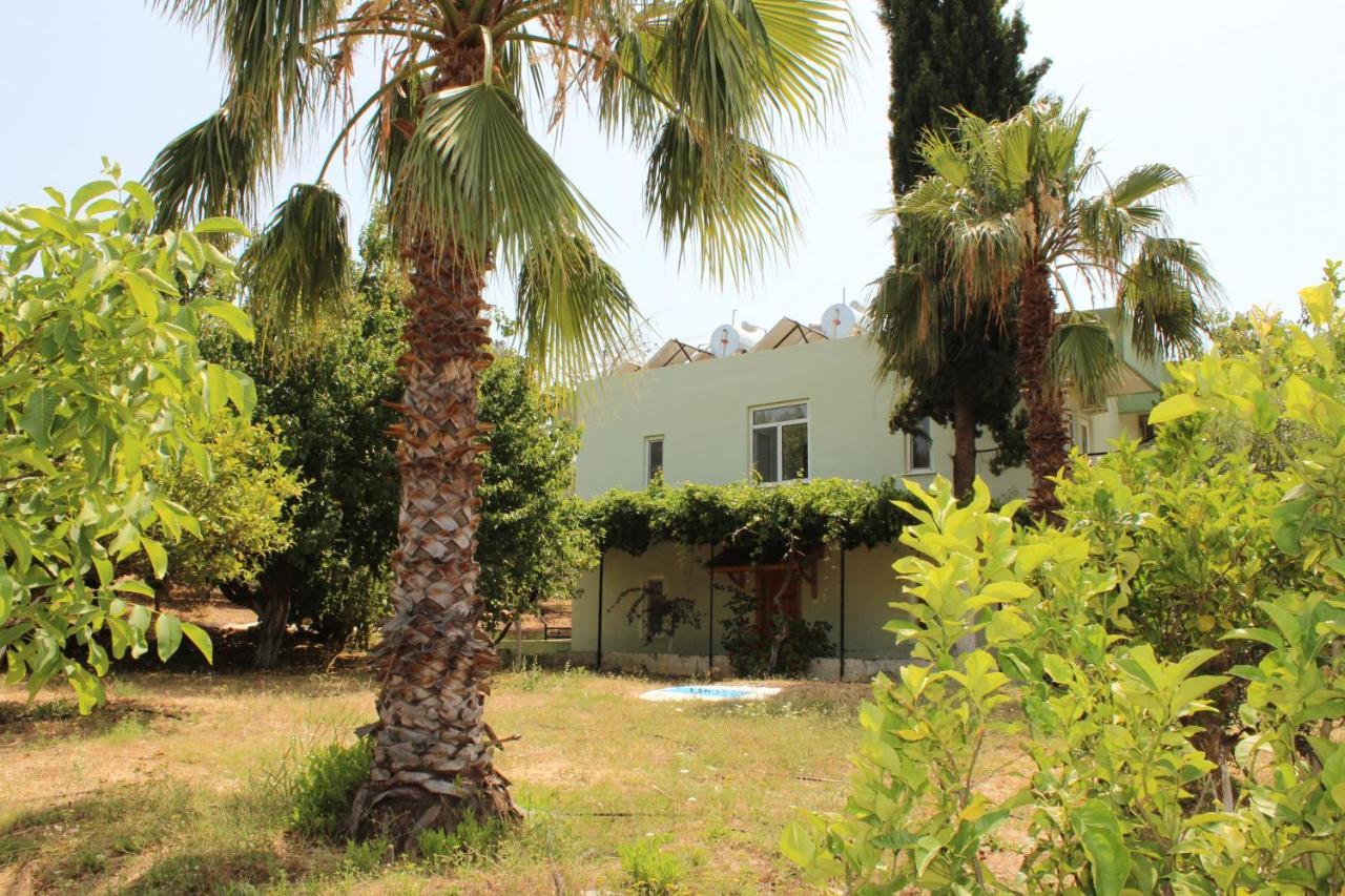 Patara Caretta Hotel Exterior photo